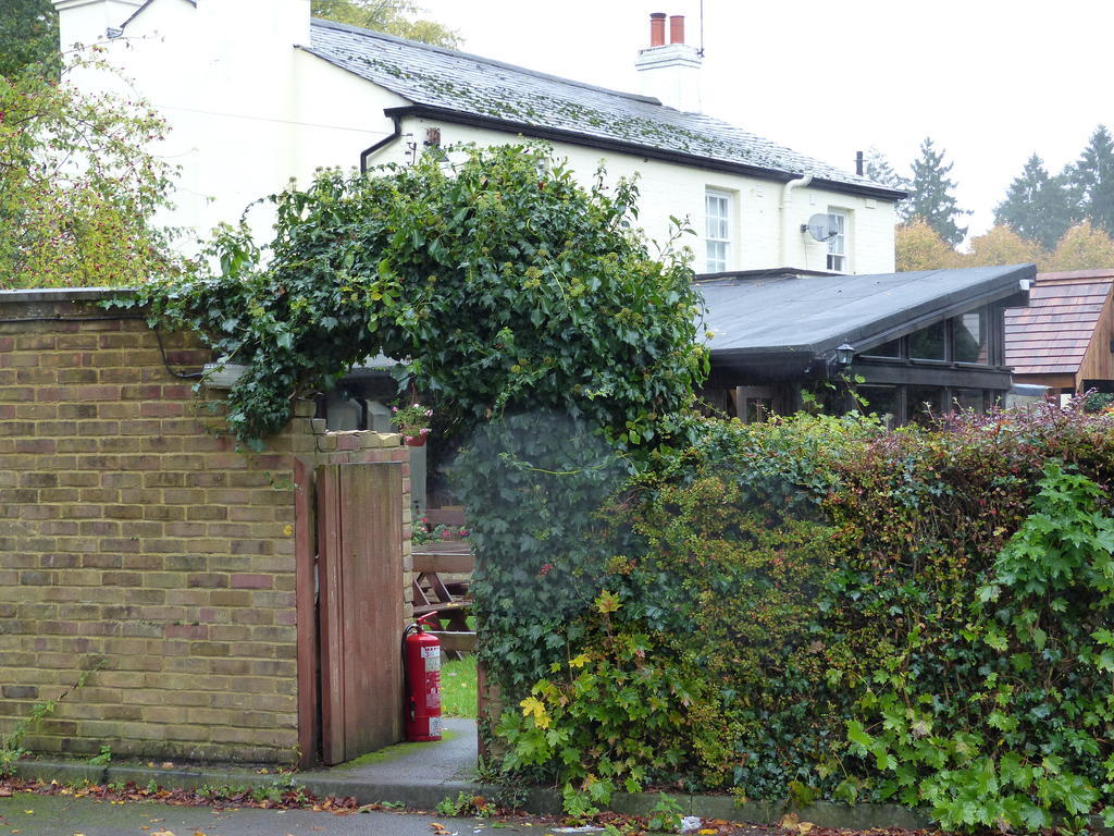 The Sun Inn Englefield Green Ngoại thất bức ảnh